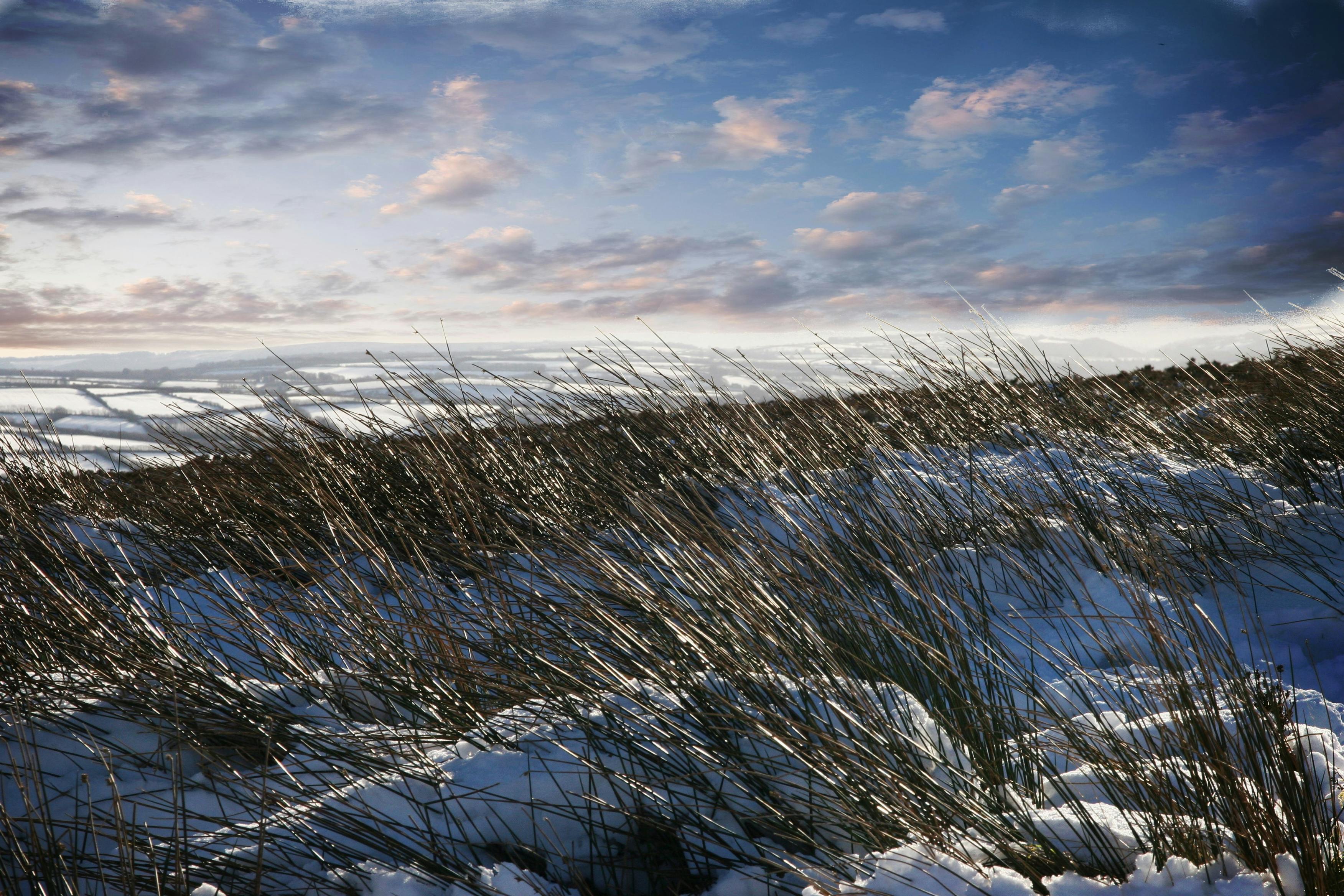 Showers and Light Snow Hit Great Lakes and Northeast Early Week