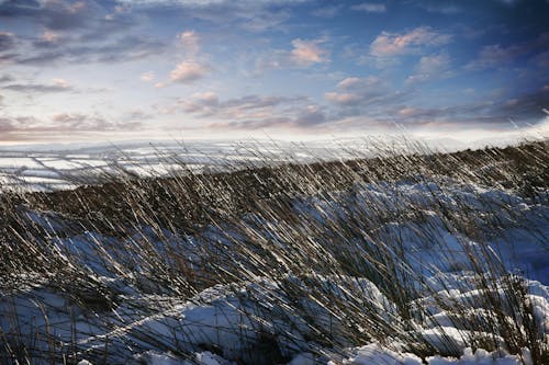 Showers and Light Snow Hit Great Lakes and Northeast Early Week