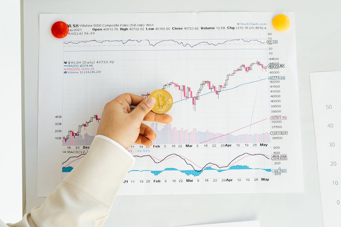 Person Holding A Bitcoin With Stock Chart Report On Wall