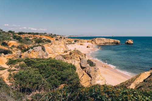 Photo of a Cliff Near the Sea