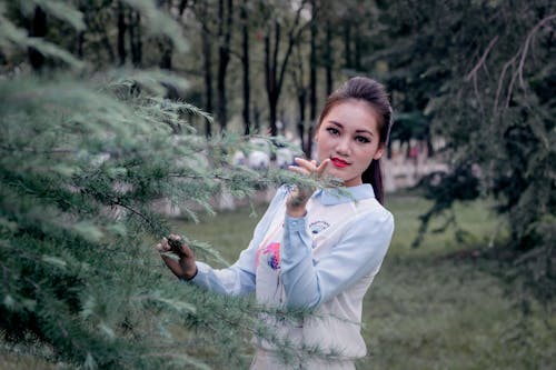 Free stock photo of black eyes, chinese girl, cypress