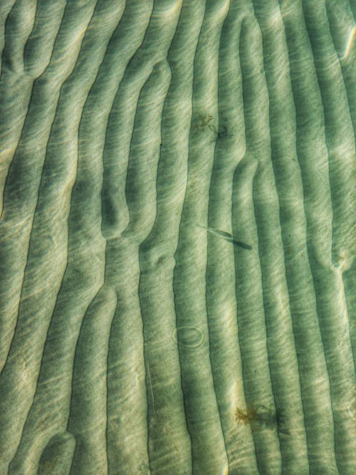 Free Overhead Shot of Shallow Saltwater Stock Photo