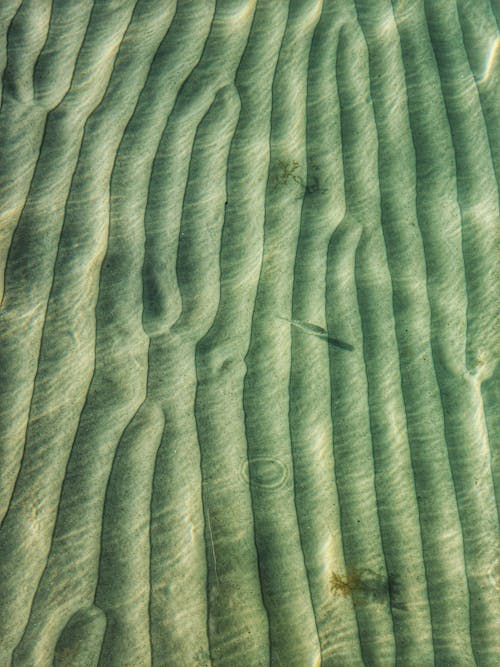 Overhead Shot of Shallow Saltwater