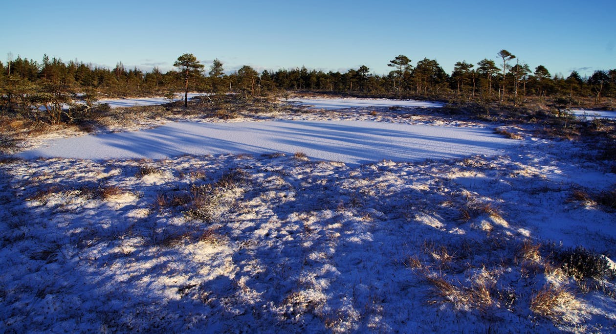 Photo of Field Covered With Snow