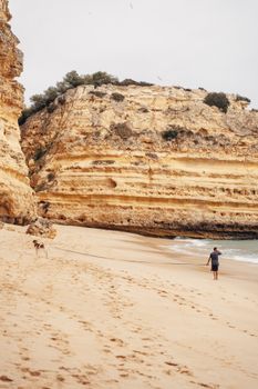 A person walking a dog along a secluded beach by towering cliffs.