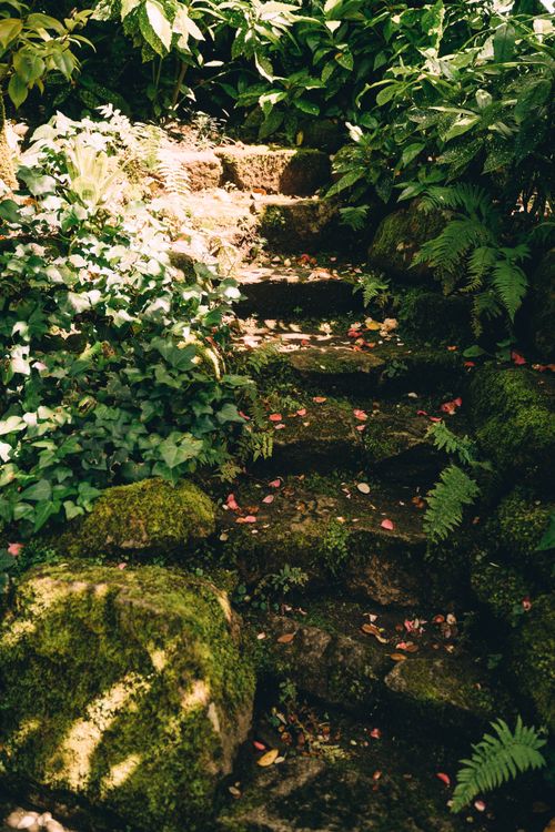 Free A serene stone staircase covered in moss and surrounded by lush greenery, creating a peaceful garden scene. Stock Photo