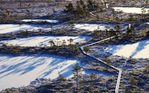免費 樹木環繞的冰凍湖泊的航拍 圖庫相片