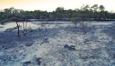 冬日风景优美，白雪覆盖的森林和宁静的河岸尽收眼底