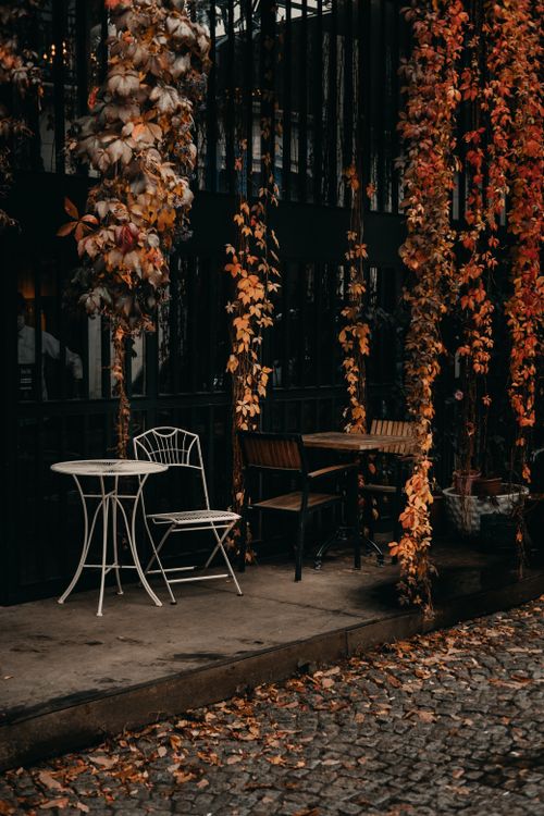 Free An inviting urban café setting decorated with autumn leaves offering cozy seating. Stock Photo