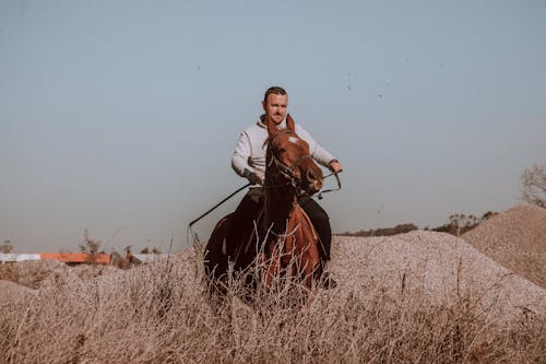 Man Riding a Brown Horse 