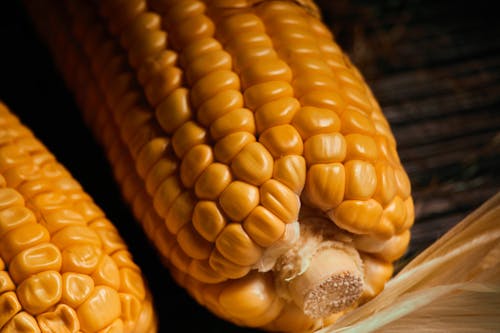 Close-Up Shot of Corns