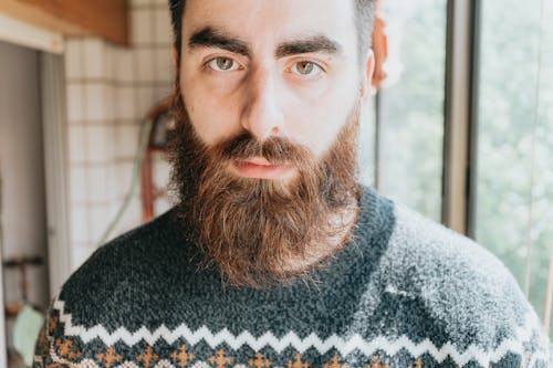 Безкоштовне стокове фото на тему «борода, брюнетка, людина»