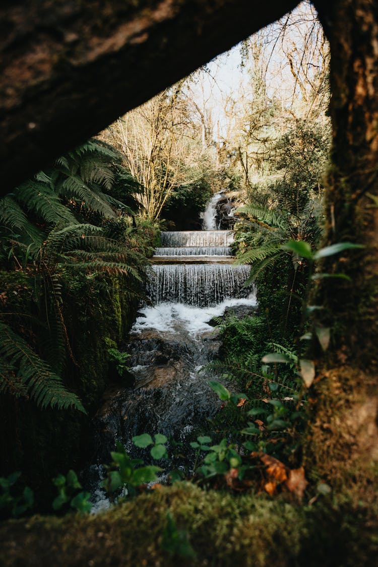 Cascades On Stream In Park