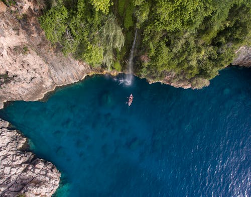 Rocky coast with lush green trees and blue water