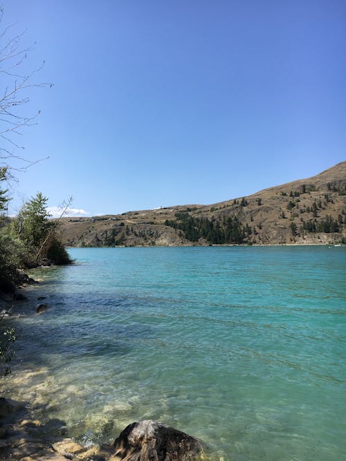 Immagine gratuita di acqua, alberi, azzurro