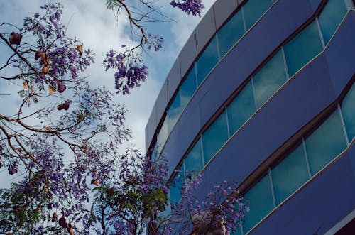 Free stock photo of building, city, cyprus