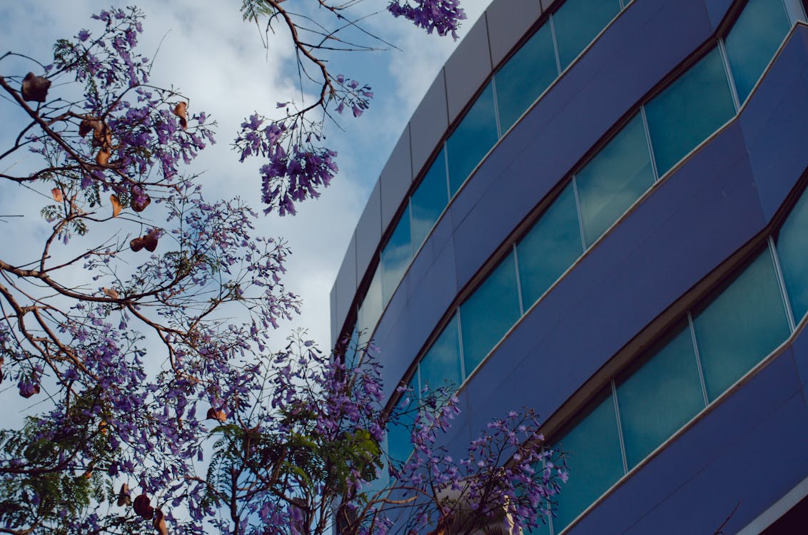 Kostnadsfri bild av byggnad, cypern, lila