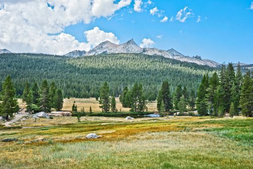 Free Breathtaking view of a lush green alpine meadow with rugged mountain peaks under a clear blue sky. Stock Photo