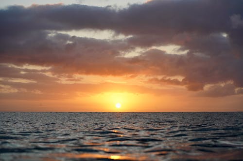 地平線, 太陽, 日落 的 免費圖庫相片