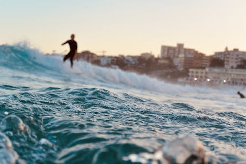 Foto d'estoc gratuïta de diversió, fent surf, mar