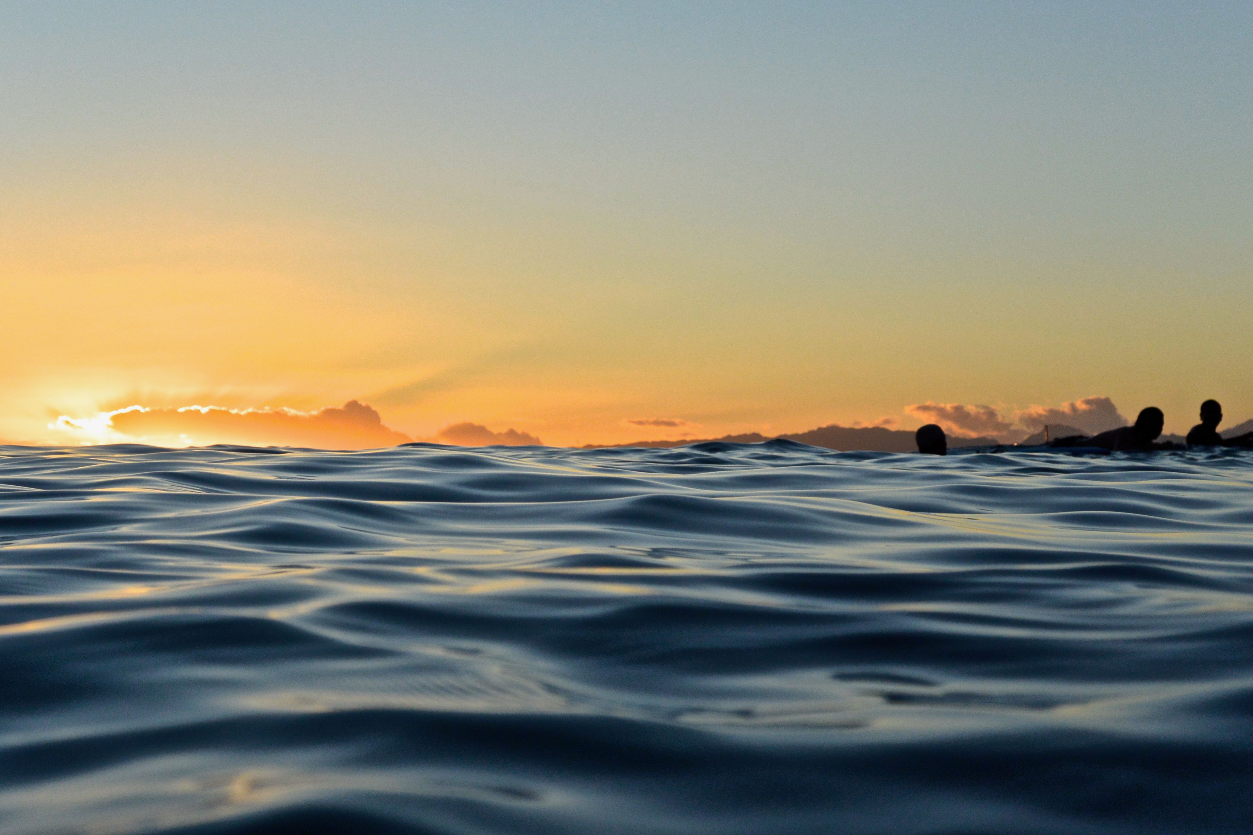 Silhouette of People in the Ocean During Sunset · Free Stock Photo