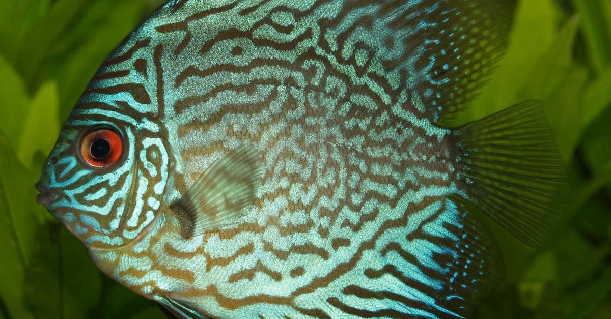 Lake Fishing in 2025: The Trends Shaping the Industry