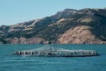 Fish Cage above the Sea Water Surface