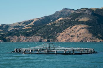 Fish Cage above the Sea Water Surface