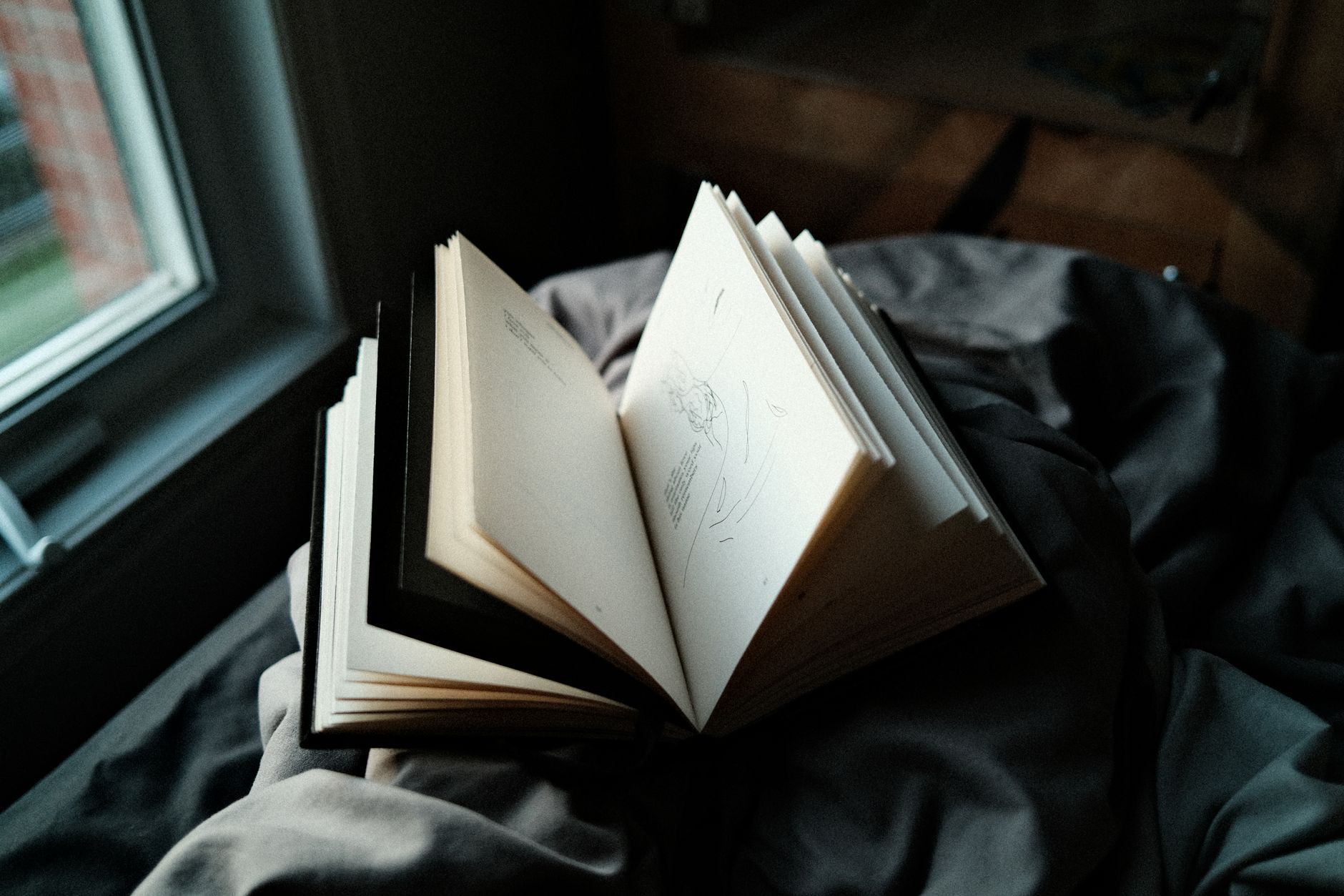 Coal Black Mornings by Brett Anderson