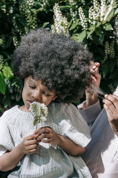 Free A young black girl holds a flower, enjoying a peaceful moment outdoors. Stock Photo
