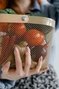 A Person Holding a Crisscross Wired Basket