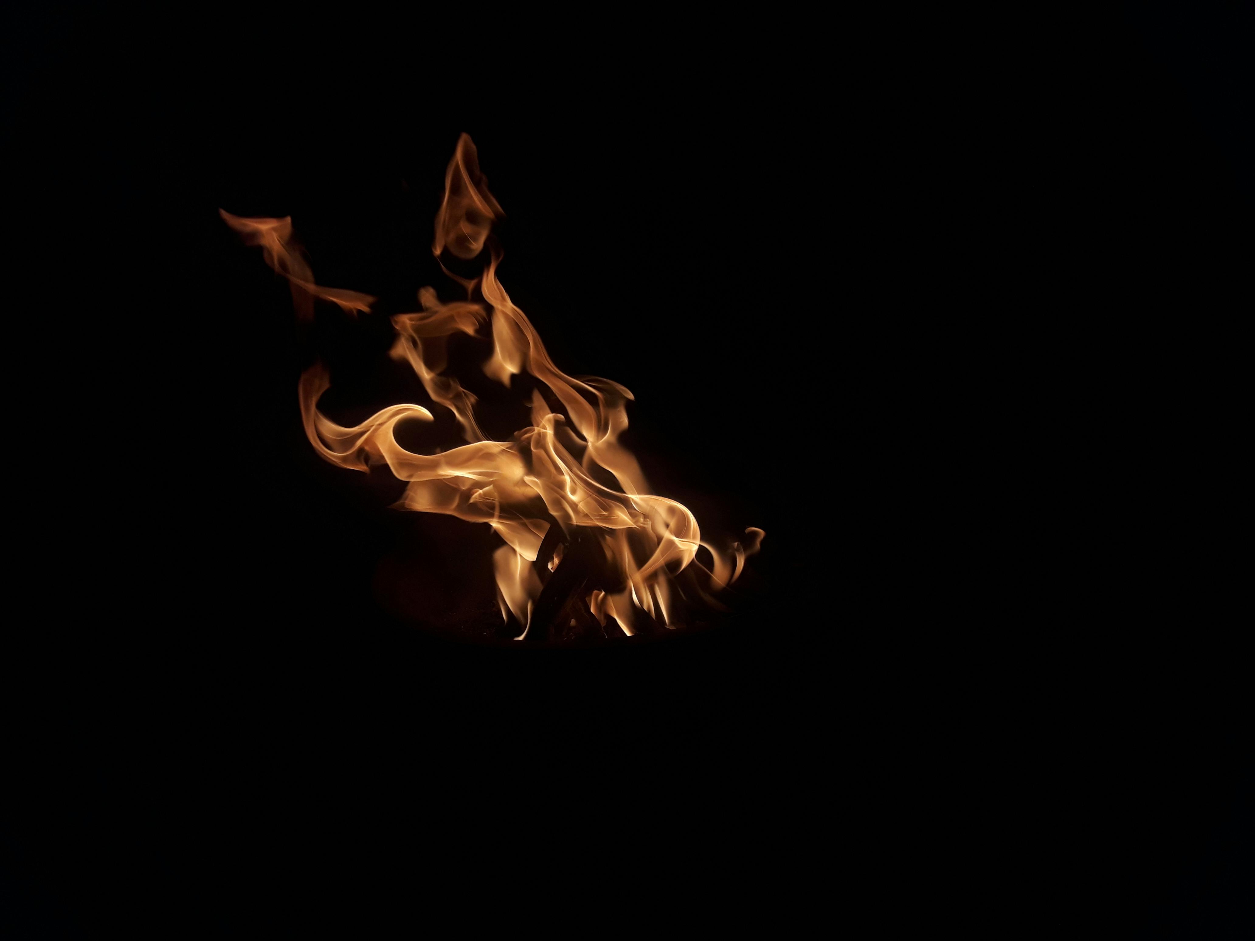 Free stock photo of black background, campfire, night