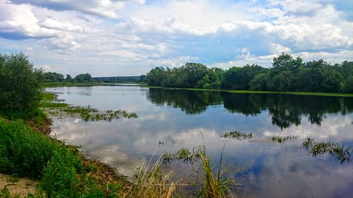 Free Peaceful river scene with lush greenery and blue sky reflection in water. Stock Photo