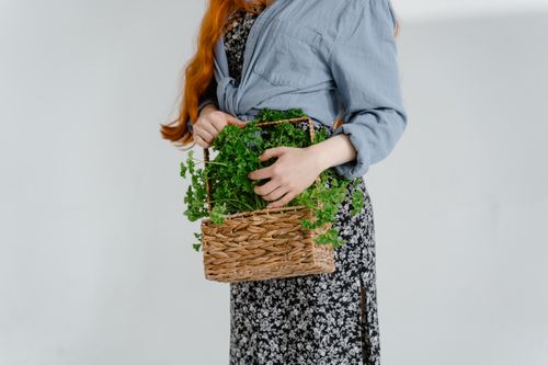 Free A woman holds a woven basket filled with fresh parsley, symbolizing eco-friendly living and natural lifestyle. Stock Photo