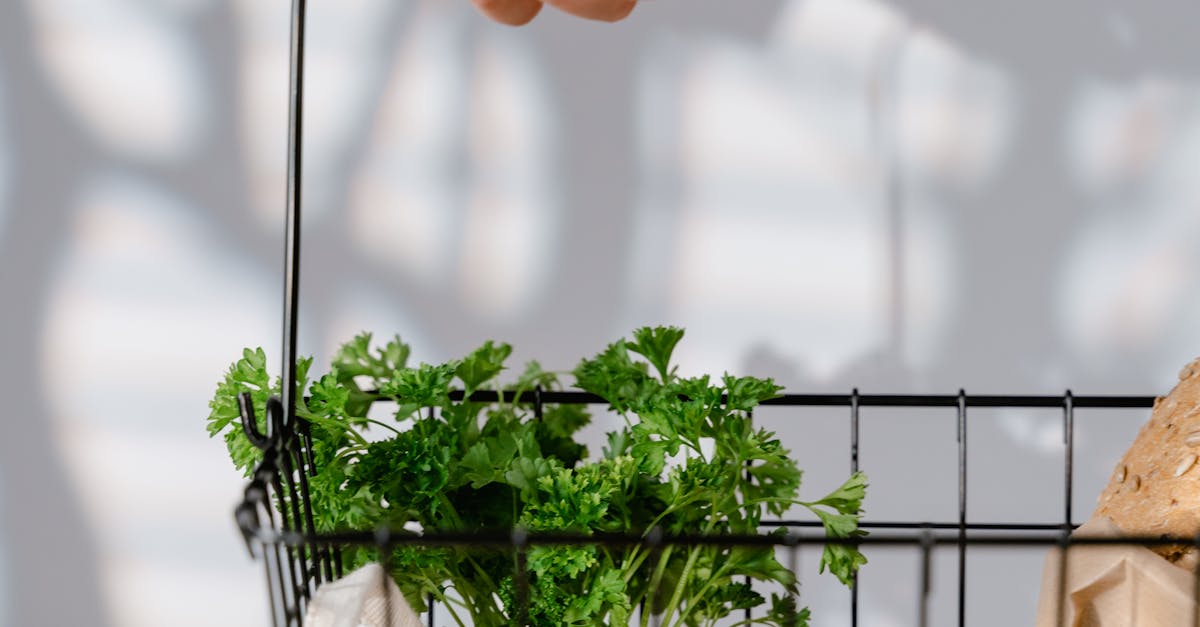 惜惜好食光創意料理食譜比賽 從日常落實減碳新生活