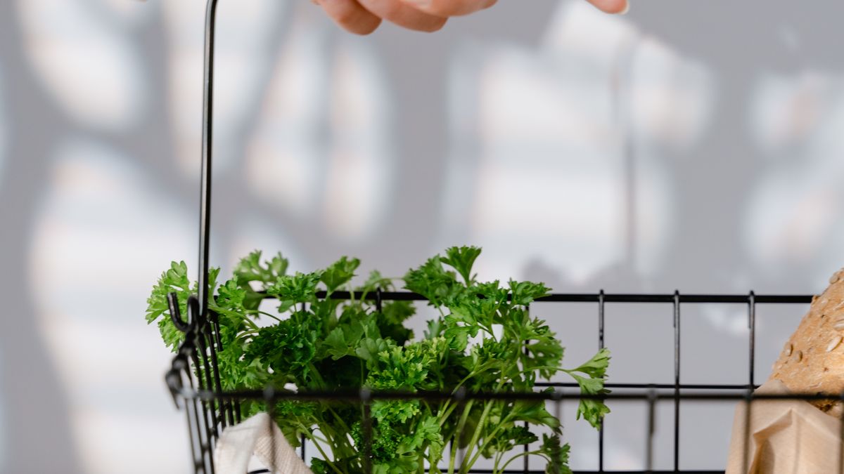 Budget alimentation responsable