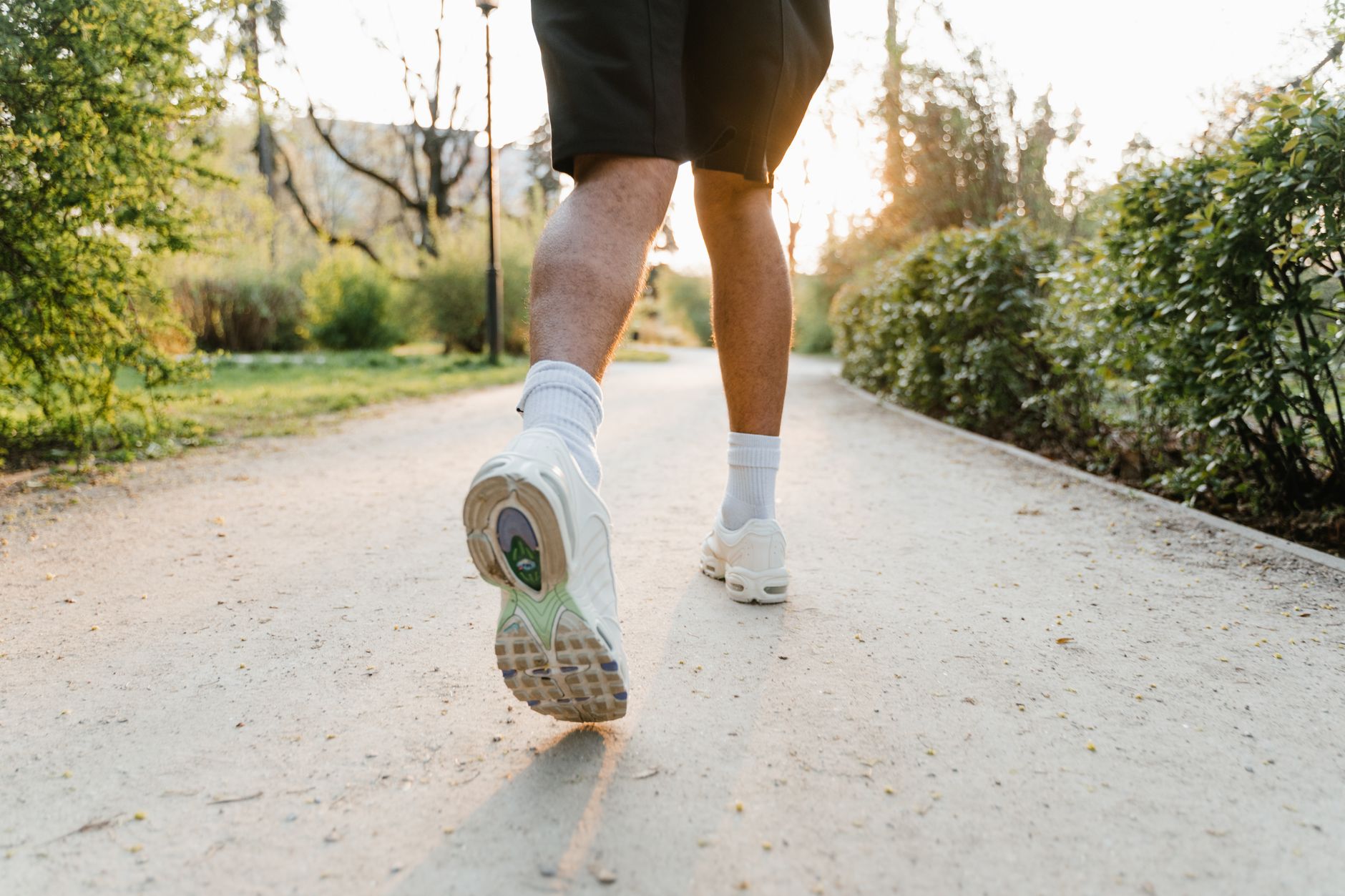 Best Running Socks 2026: No-Show, Ankle & Cushioned Picks