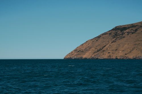 Free Captivating view of New Zealand's coastline with clear skies and calm ocean, offering a tranquil and picturesque scenery. Stock Photo