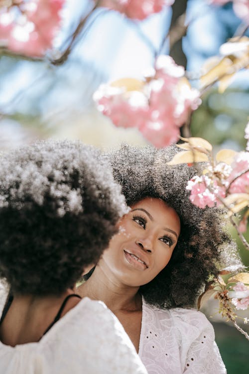 Afrikalı kadın, afro saç modeli, çiçek içeren Ücretsiz stok fotoğraf