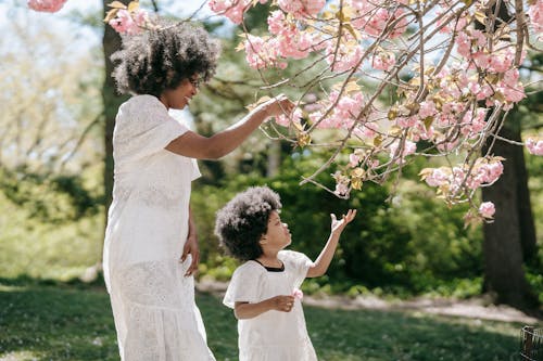 Woman Looking at Tree Blossoms with her Child