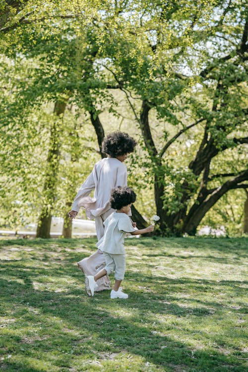 Fotos de stock gratuitas de árbol, cabello afro, caminando