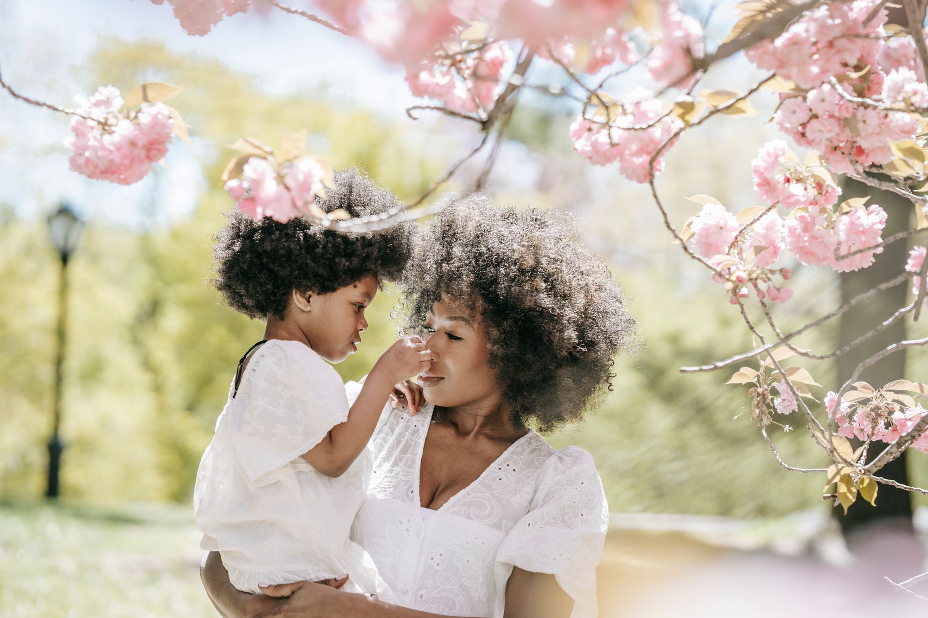 A joyful moment between a mother and daughter amidst blooming cherry blossoms on a sunny spring day. A joyful moment between a mother and daughter amidst blooming cherry blossoms on a sunny spring day.