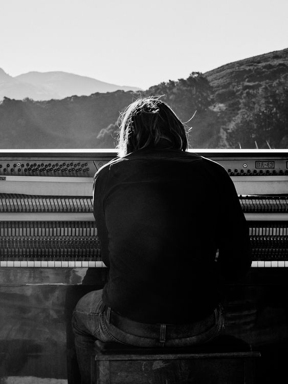 Portrait Back Back View of a Person · Free Stock Photo