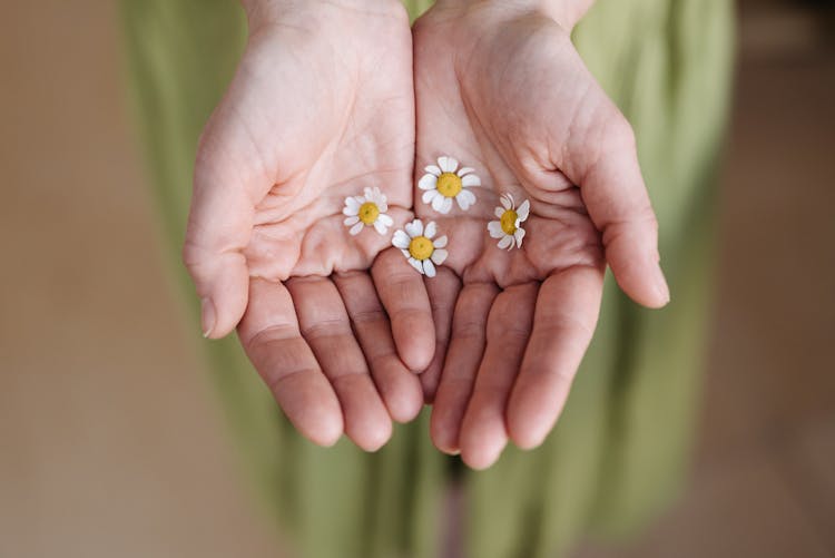 Hands With Tiny Daisy Flowers