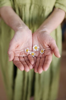 A close-up of hands gently holding small chamomile flowers, symbolizing care and nature.
