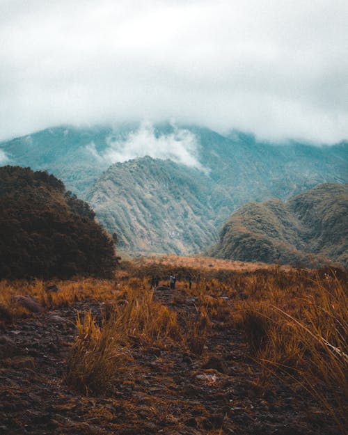 Cloudy Mountain 