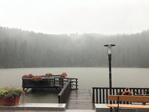 Wooden Deck with Flowers Near the Body of Water