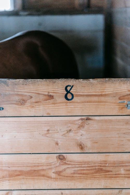 Close-Up Shot of a Number on a Wooden Board