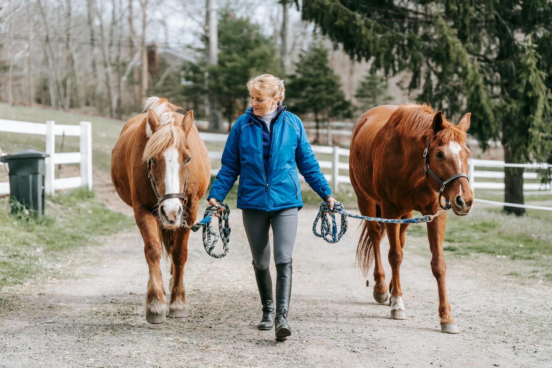 A Woman Holding Her Horse Leash