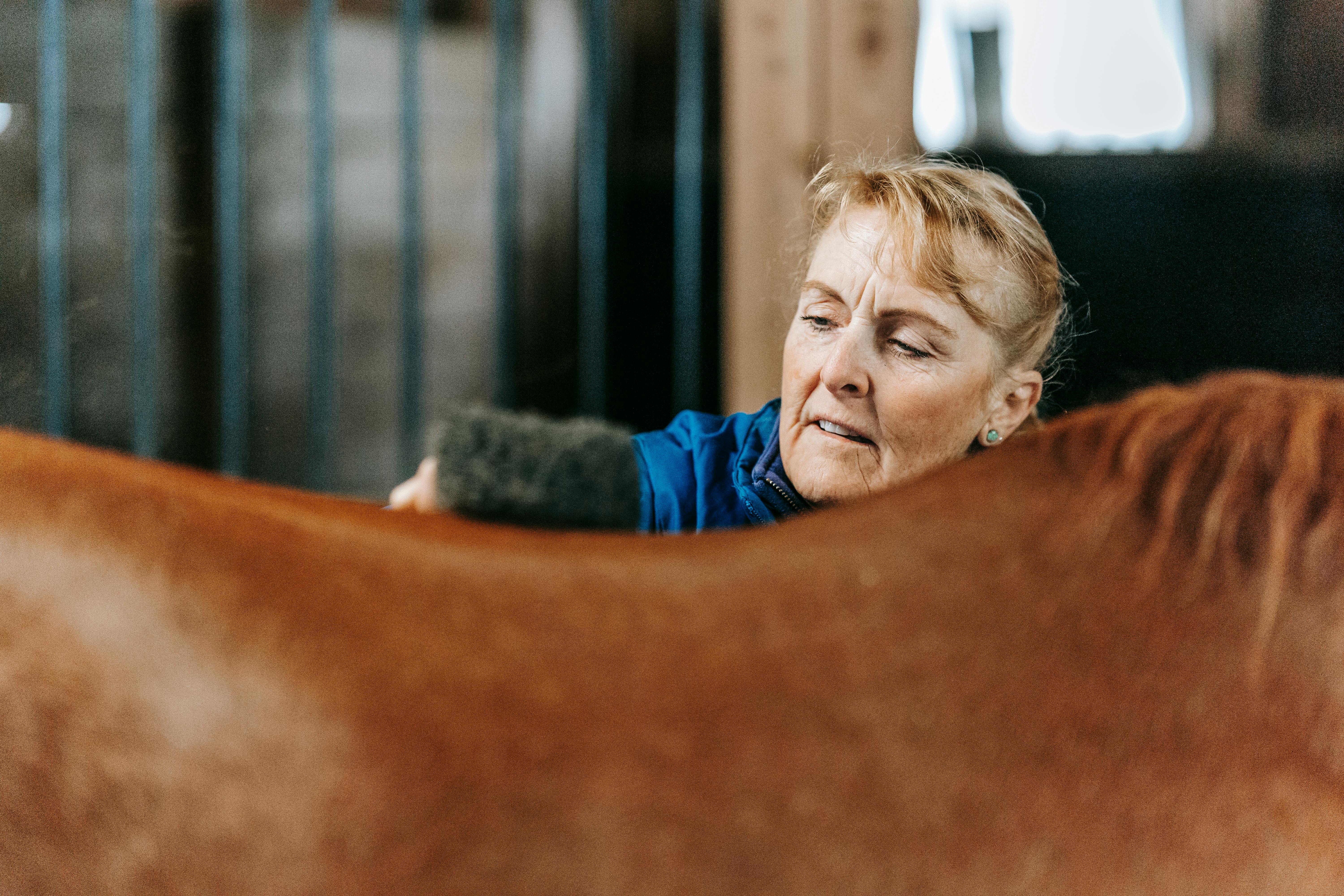 At what age is a horse considered old?